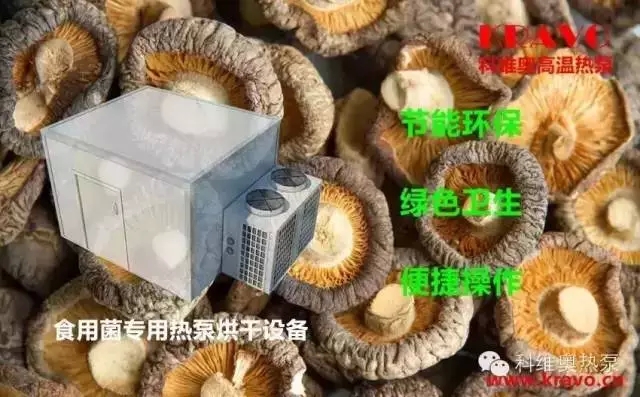 热泵干燥技术在食用菌.jpg